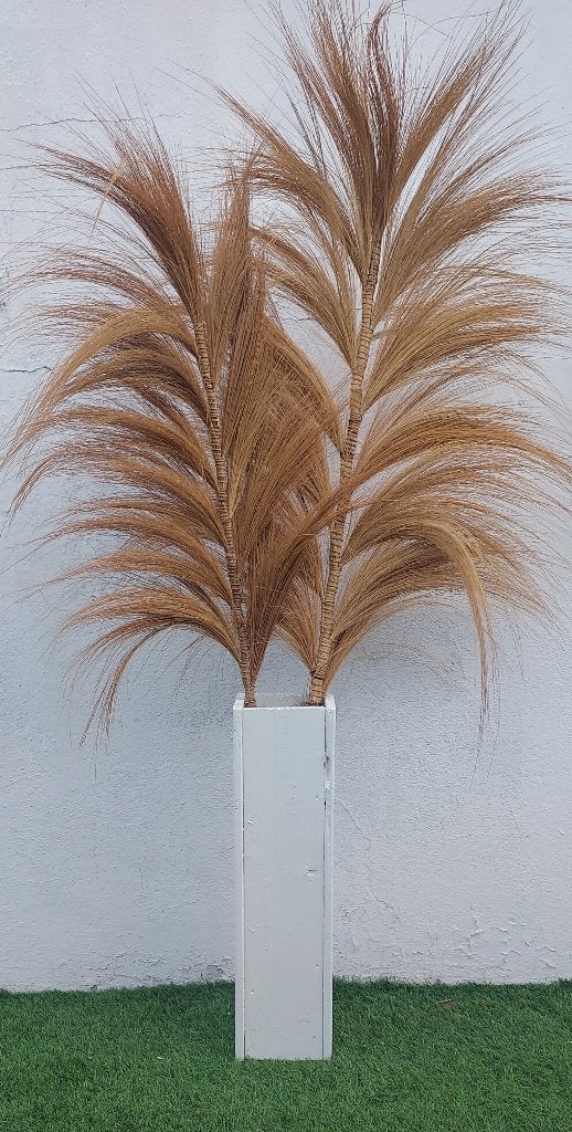 gras pluimen, Ophalen, Gebruikt