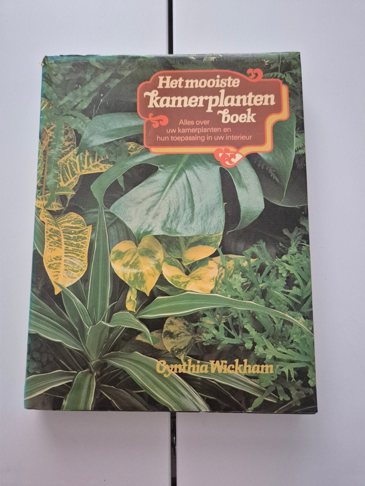 Het mooiste kamerplanten boek - Cynthia Wickham, Boeken, Ophalen of Verzenden, Gelezen, Cynthia Wickham, Kamerplanten