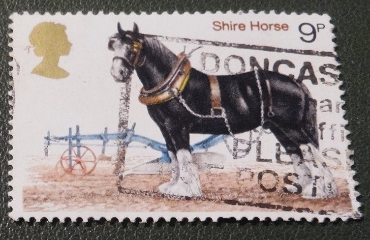 Engeland - Mi 769 - 1978 - Shire Horse - Paard - PDi01-01, Verzenden, Gestempeld, Dier of Natuur