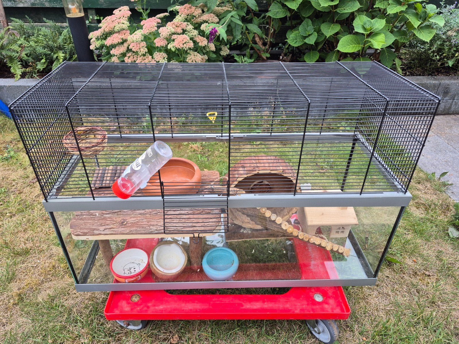 glazen hamsterhok met tralie bovenkant, Ophalen, 75 tot 110 cm, Hok, Minder dan 60 cm