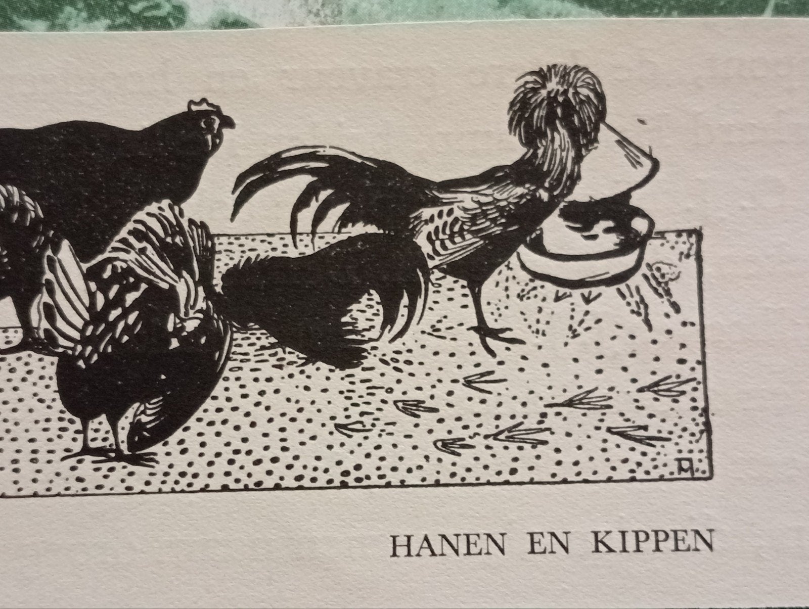 Theo van Hoytema Hanen en Kippen, Ophalen of Verzenden