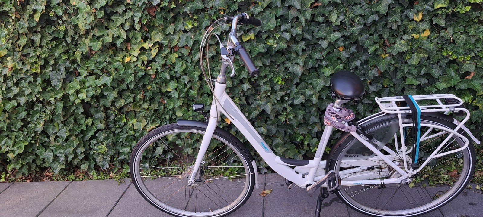 Mooie en goed onderhouden Giant damesfiets met 7 versnelling, Fietsen en Brommers, Ophalen, Zo goed als nieuw, Giant, Versnellingen