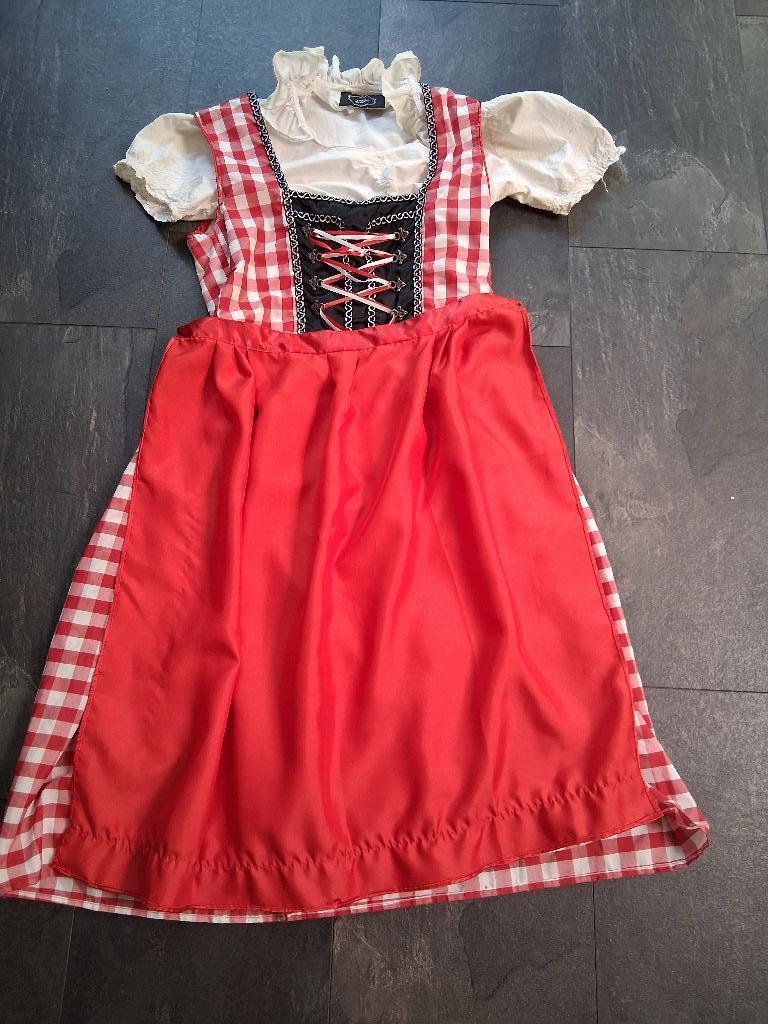 Carnaval, Kleding | Dames, Maat 38/40 (M), Carnaval, Ophalen of Verzenden, Kleding