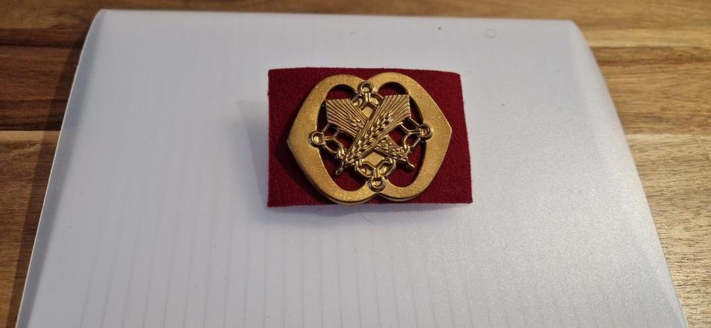 Baretembleem Interdance, Verzamelen, Ophalen of Verzenden, Landmacht, Nederland, Embleem of Badge