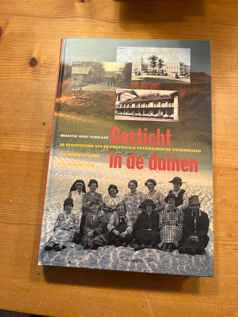 Gesticht in de duinen - Geschiedenis psychiatrische ziekenhu, Boeken, Geschiedenis | Stad en Regio, Ophalen of Verzenden, 20e eeuw of later