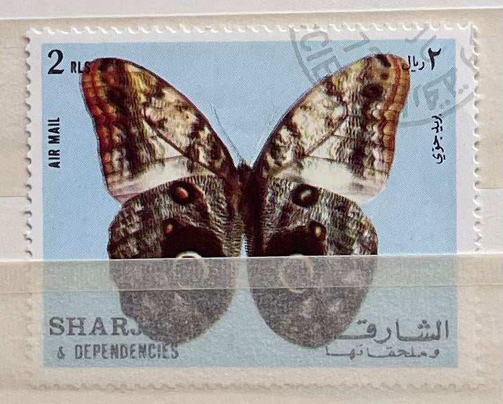 Postzegel Sharjah; vlinder, Postzegels en Munten, Postzegels | Thematische zegels, Ophalen of Verzenden, Gestempeld, Dier of Natuur