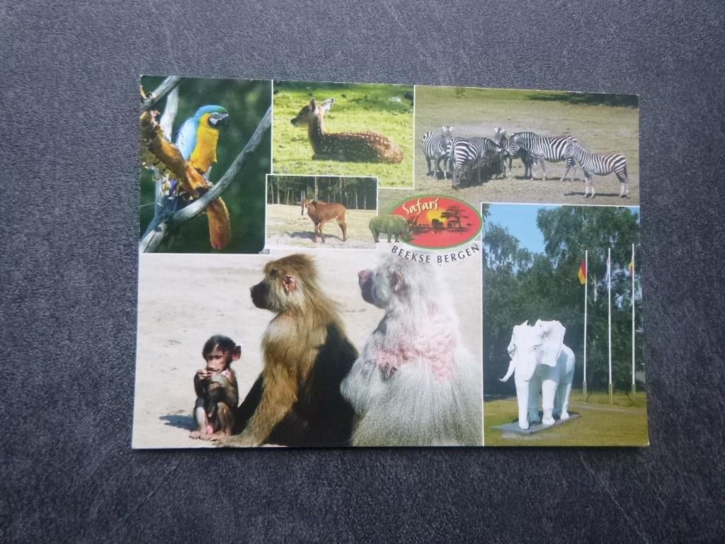Hilvarenbeek, Safari Beekse Bergen, Verzamelen, Verzenden, 1980 tot heden, Ongelopen, Noord-Holland