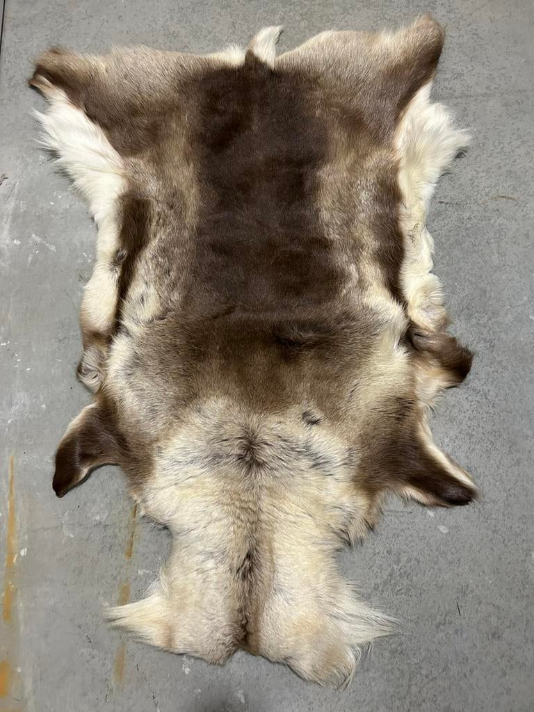 Reeindeer real fur hide, Ophalen, 200 cm of meer, 50 tot 100 cm, Zo goed als nieuw
