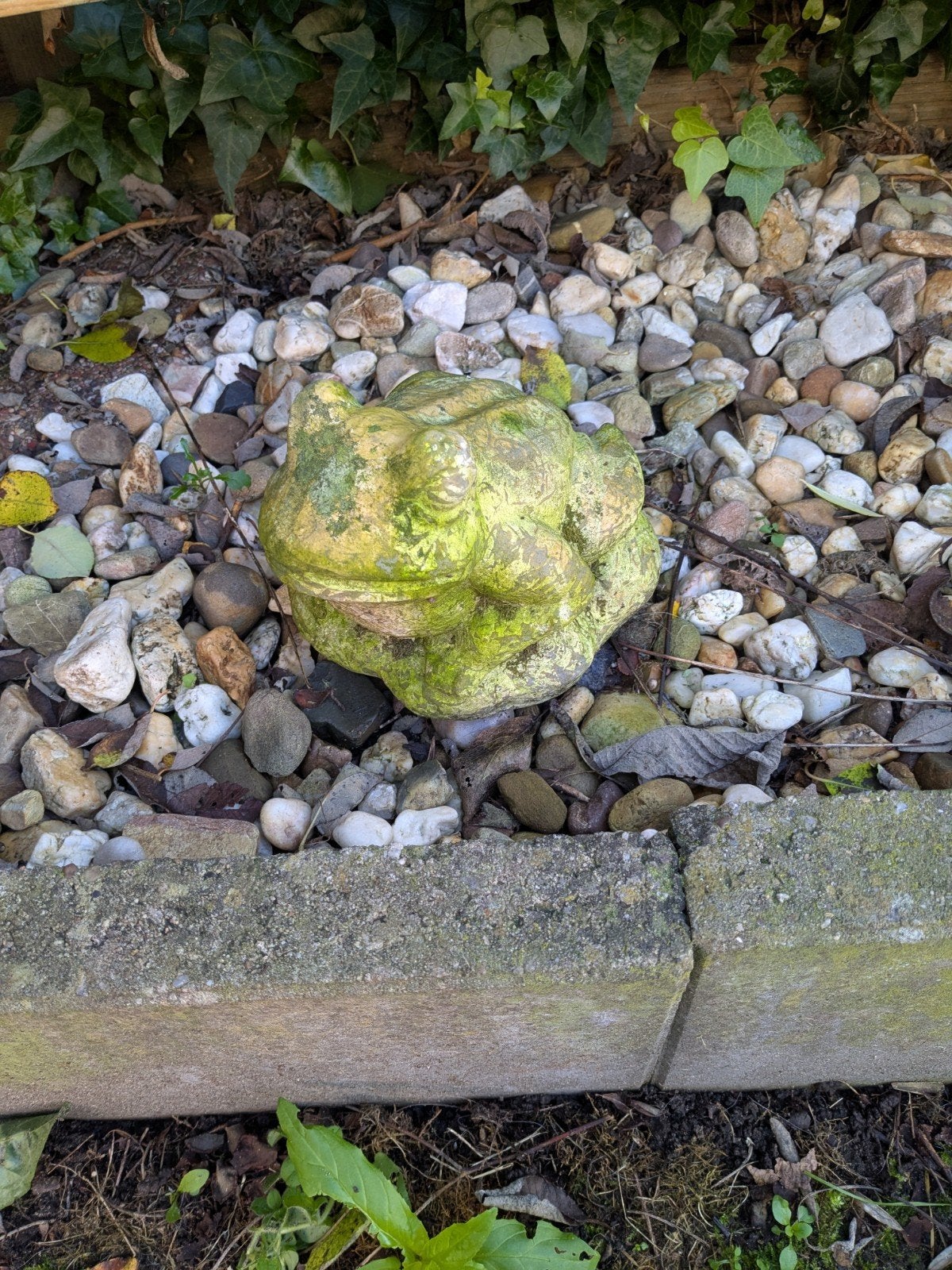 kikker beton look, Tuin en Terras, Ophalen, Gebruikt, Steen, Dierenbeeld