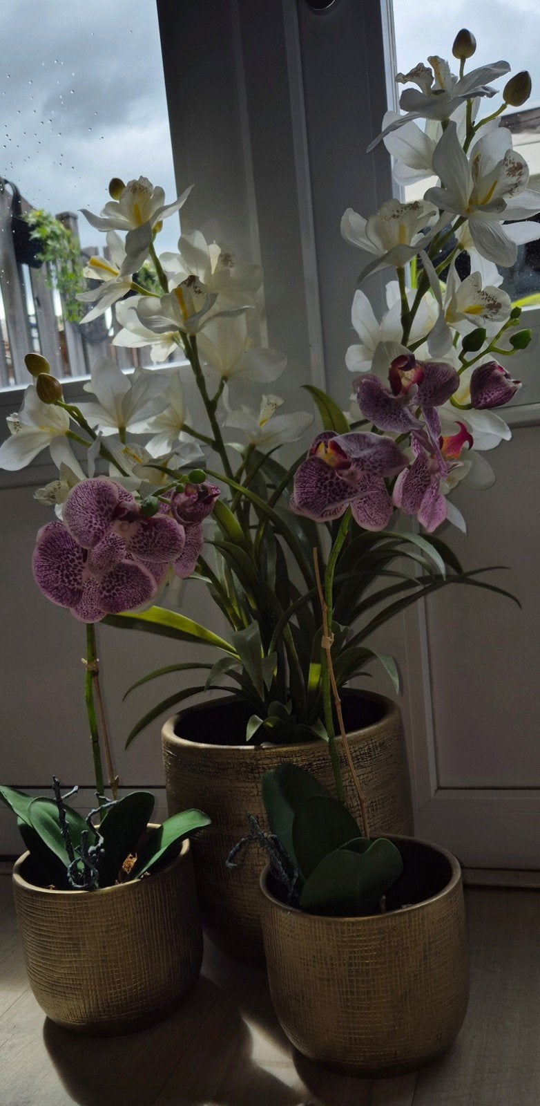 Orchideeën., Ophalen, Zo goed als nieuw