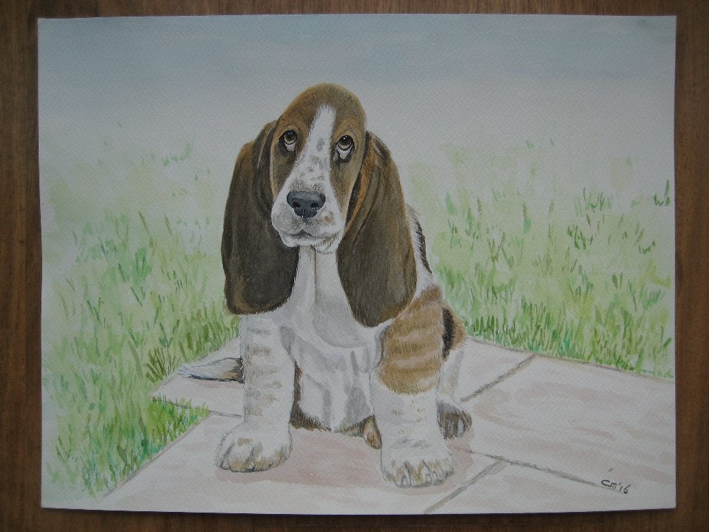 Aquarel basset hond. (35 x 27 cm), Ophalen, Minder dan 50 cm, Oorspronkelijke maker, Nieuw