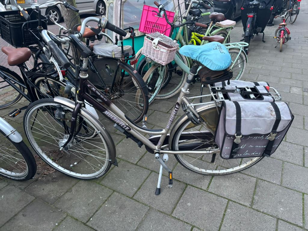 damesfiets, Ophalen of Verzenden, Gebruikt, Multicycle