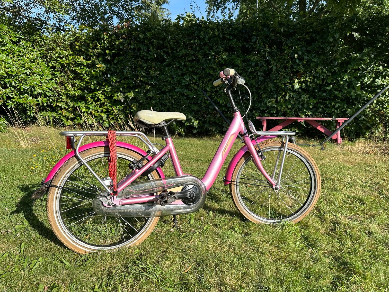 Batavus kinderfiets 20 inch roze met handrem en terugtraprem, Ophalen, Terugtraprem, Gebruikt, Handrem