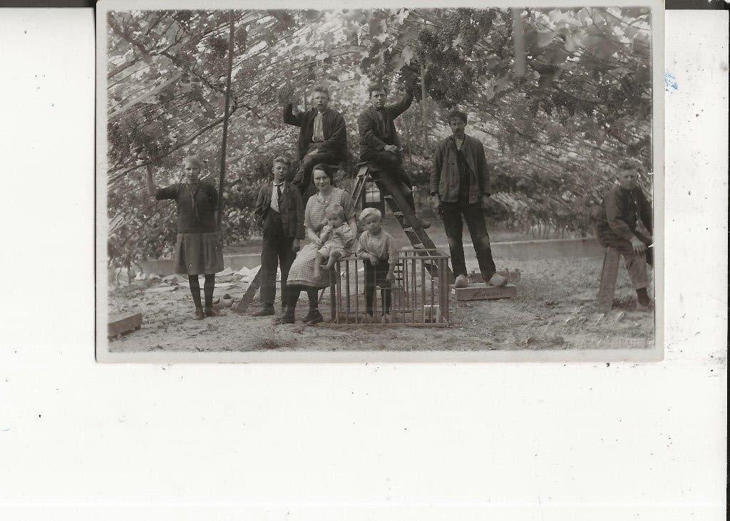 Monster Familie in druivenkas met Alicanten Fotokaart, Verzamelen, Ophalen of Verzenden, 1920 tot 1940, Ongelopen, Zuid-Holland
