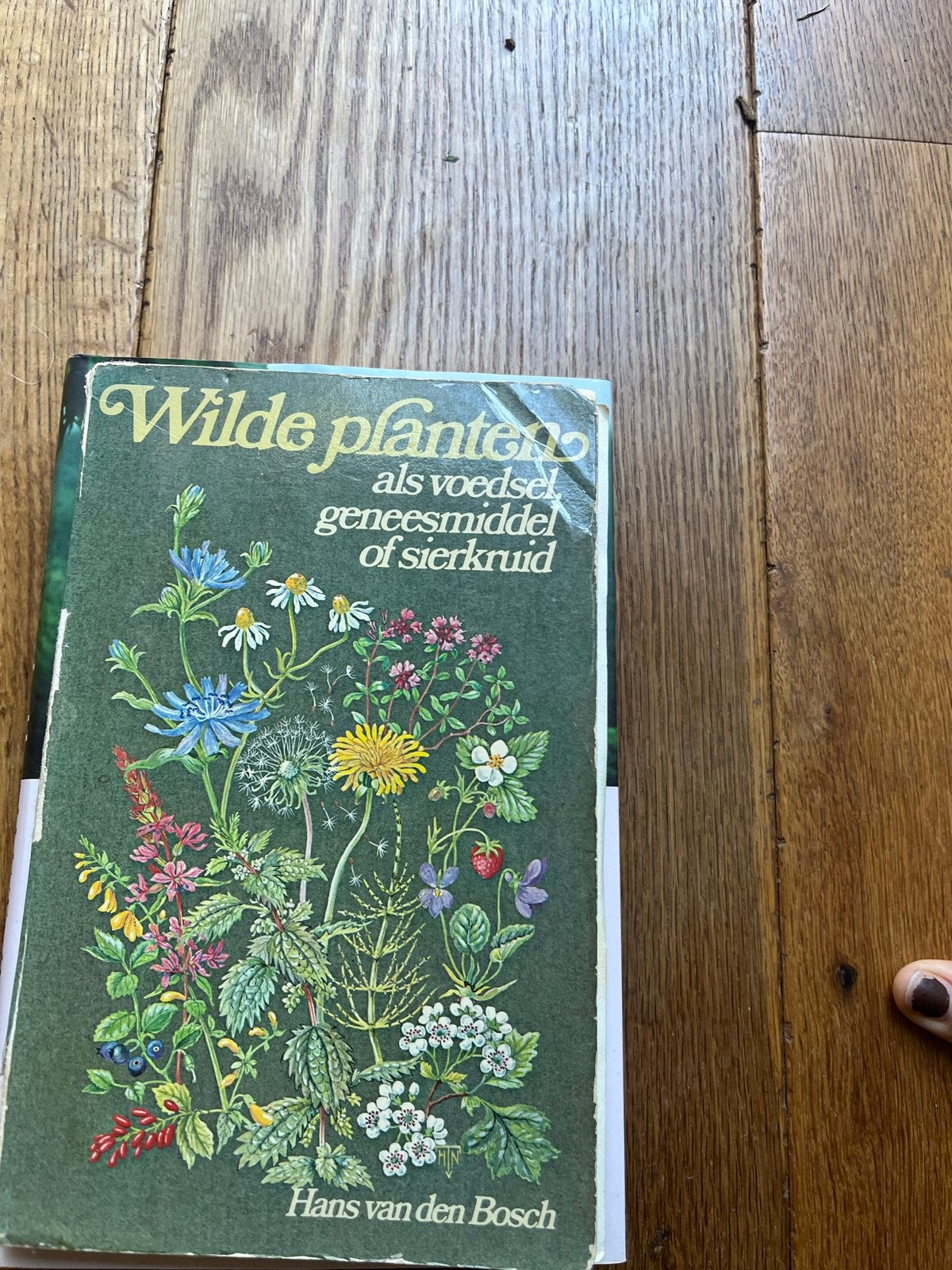 Wilde planten als voedsel, geneesmiddel of sierkruid, Ophalen of Verzenden, Gelezen, Bloemen, Planten en Bomen