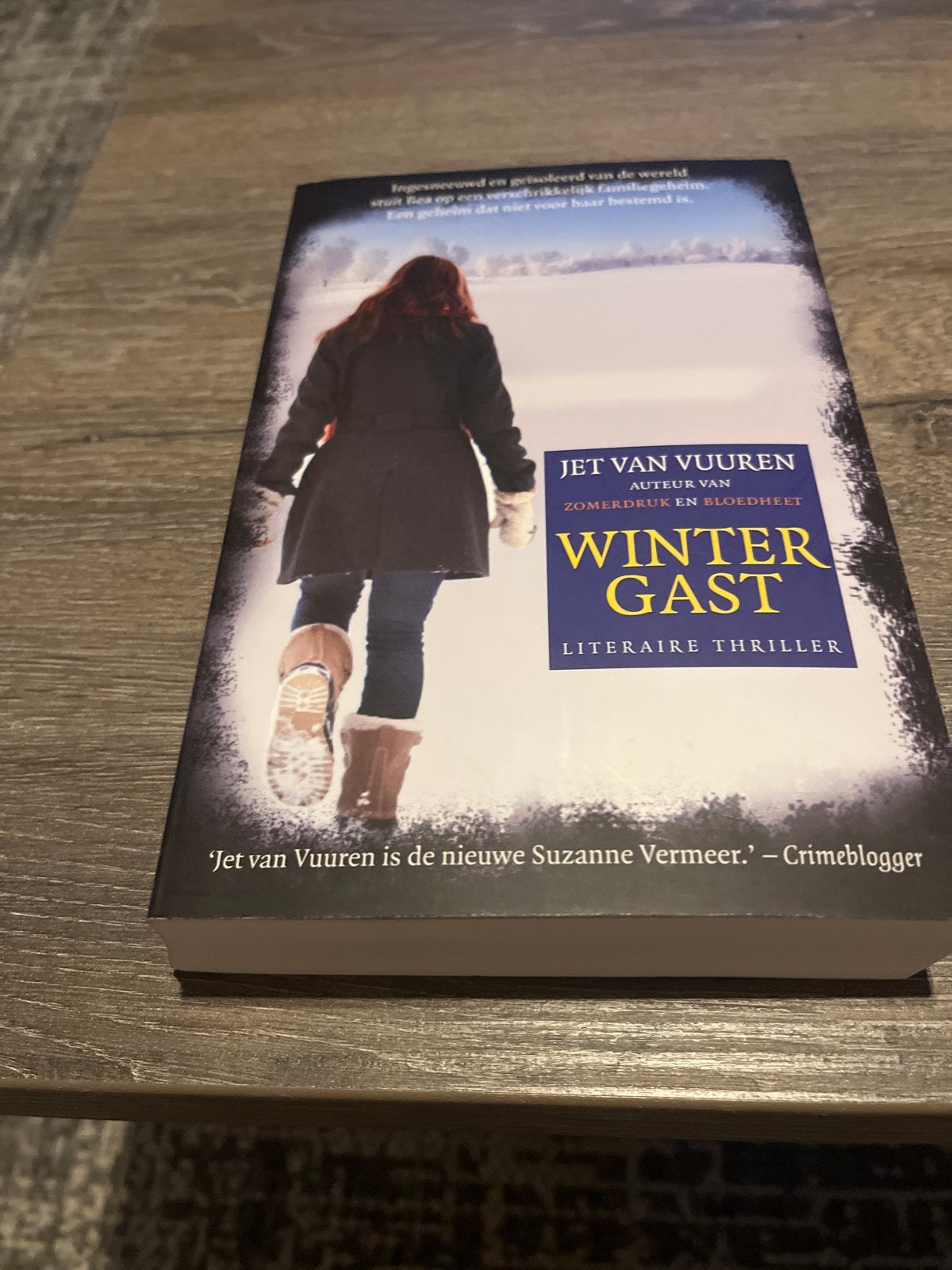 Wintergast - Literaire thriller van Jet van Vuuren, Ophalen of Verzenden, Zo goed als nieuw, Nederland