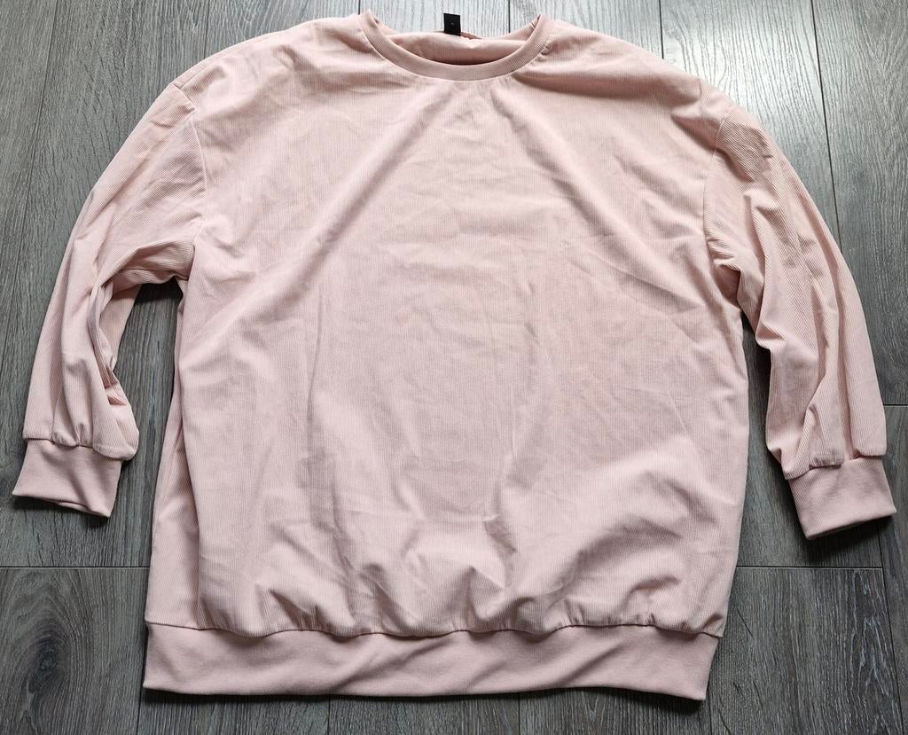 Superfijn truitje 4XL, Trui of Vest, Ophalen of Verzenden, Zo goed als nieuw, Roze