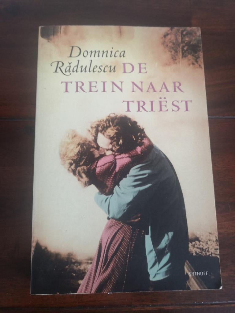 De trein naar Triest - Domnica Radulescu, Ophalen of Verzenden, Zo goed als nieuw, Domnica Radulescu