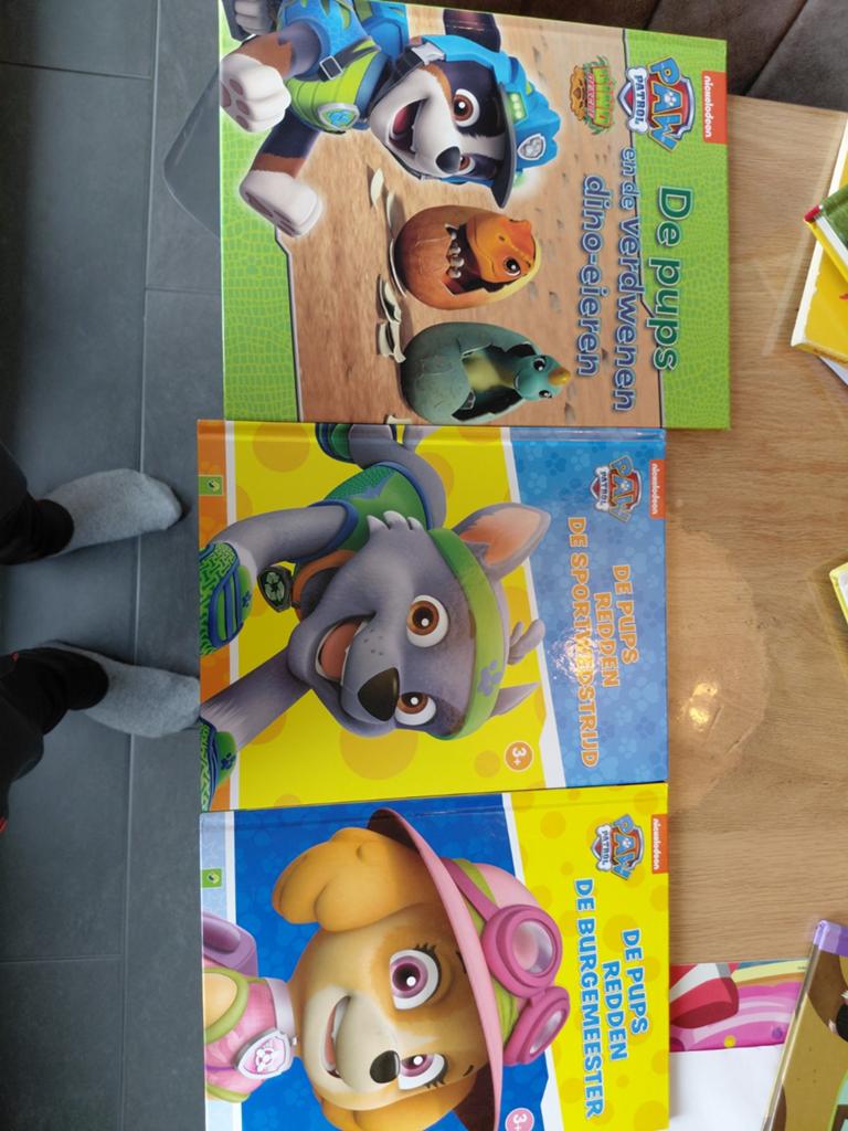 3 Paw Patrol boekjes, Ophalen of Verzenden, Zo goed als nieuw, Fictie algemeen