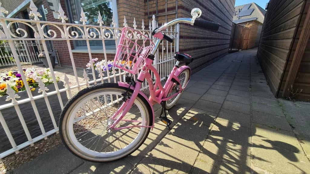 Alpina Ocean 24 Inch Roze Meisjesfiets met mandje, Ophalen, Terugtraprem, 24 inch, Alpina ocean