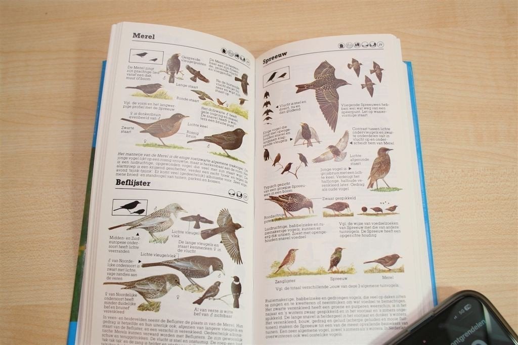 Hayman\'s Zakgids Vogels — Speciale Uitgave Vogelbescherming, Ophalen of Verzenden, Gelezen, Vogels
