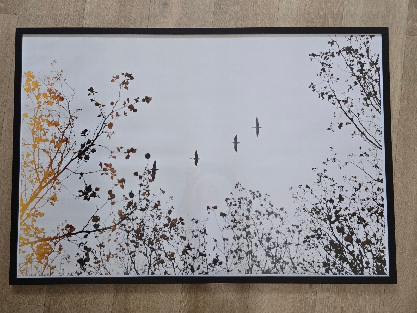 Zwarte lijst met fotoprint landschap, Ophalen