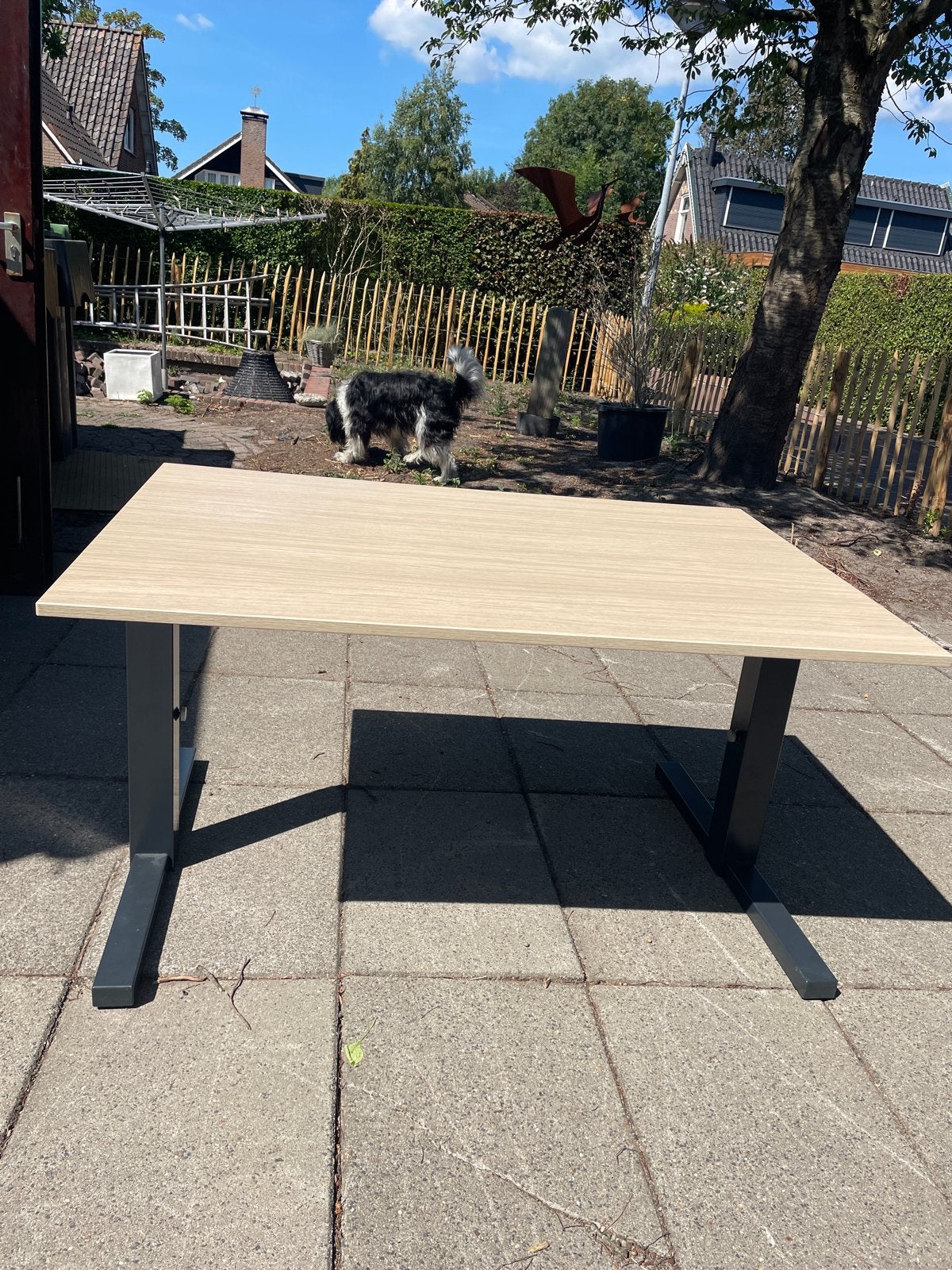 Gispen verstelbaar bureau 120x80 cm - Zo goed als nieuw, Huis en Inrichting, Bureaus, Ophalen, 120 cm, Metaal, In hoogte verstelbaar