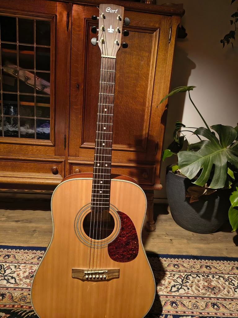 Cort western solid top 4/4 speelklaar zgan, Ophalen of Verzenden, Zo goed als nieuw, Western- of Steelstringgitaar