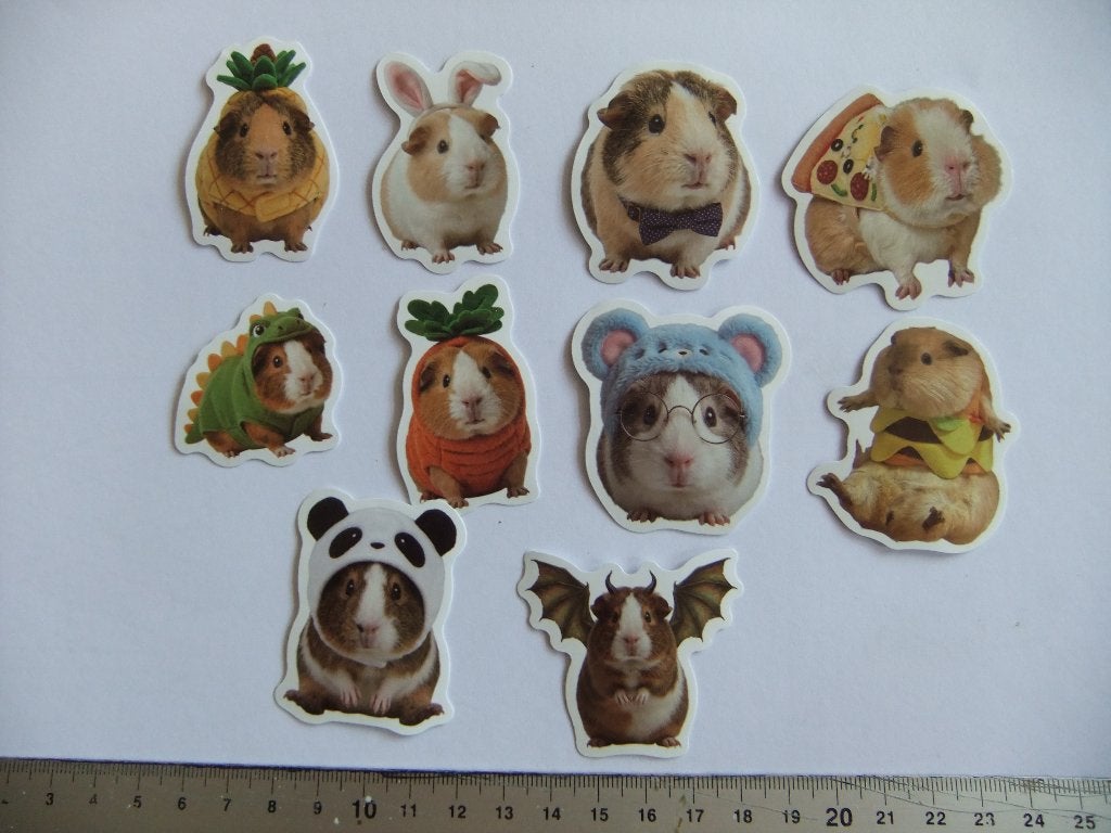 10  CAVIA  Polypropyleen stickers set 7, Verzenden
