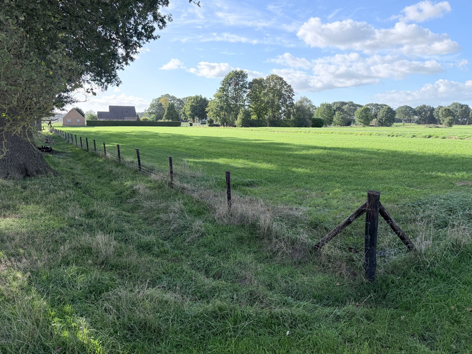 Gebruikt gaashekwerk met houten palen, Ophalen, Gebruikt, Hout, Gaashekwerk