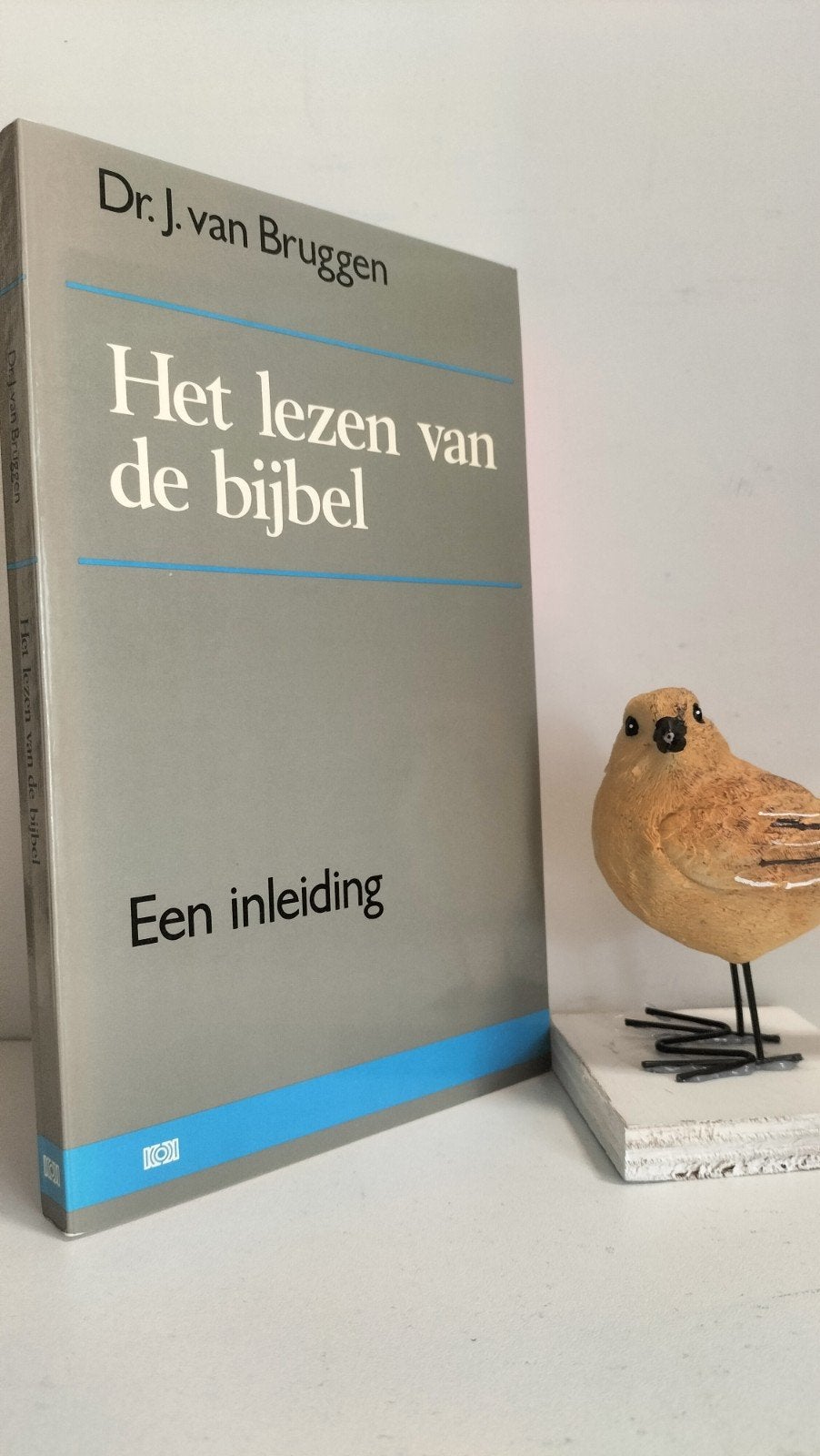 Bruggen, Dr. J. van; Het lezen van de bijbel, Boeken, Ophalen of Verzenden, Gelezen, Christendom | Protestants