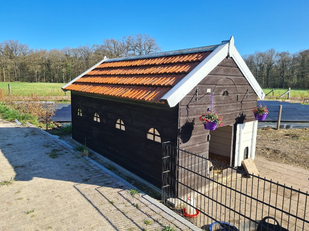 Nostalgisch varkens, kippen, geiten hondenhok, Vrouwelijk, Geit