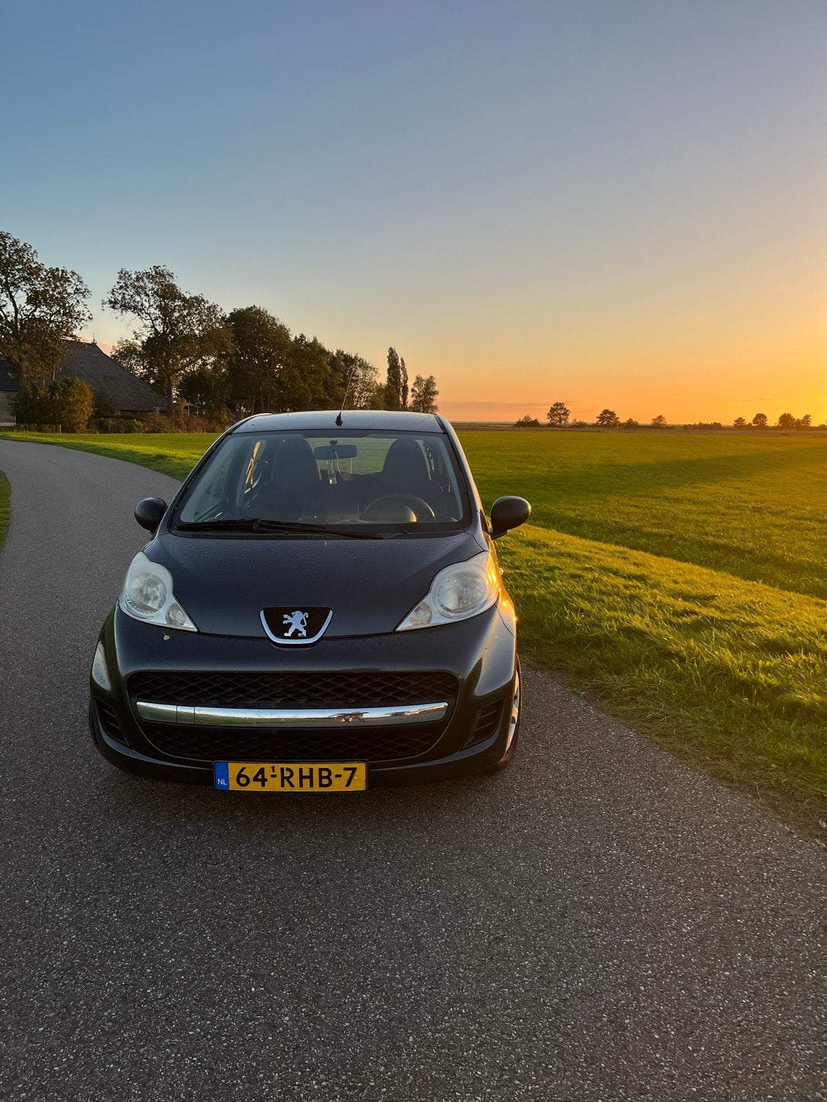 Peugeot 107 1.0 12V 5DR 2011 Grijs, Voorwielaandrijving, 4 stoelen, 68 pk, Origineel Nederlands