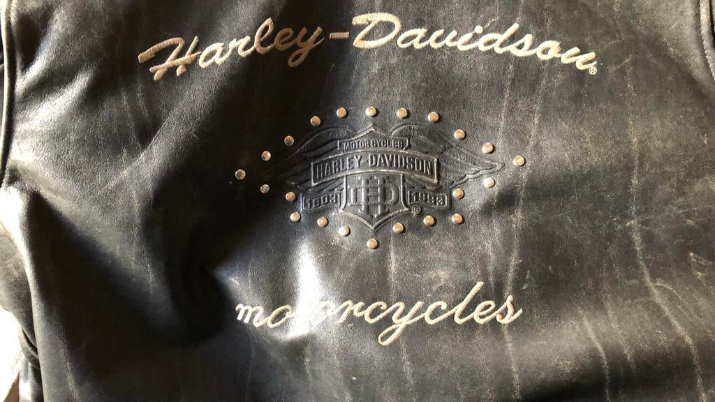 Zwaar leren Harley-Davidson jacket, Ophalen of Verzenden, Tweedehands, Heren, Jas | leer
