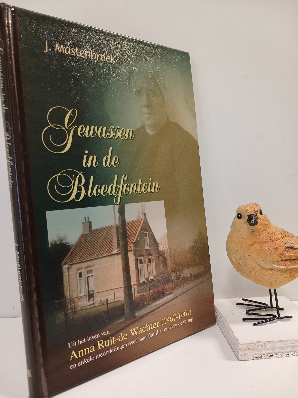 Mastenbroek, J.; Gewassen in de Bloedfontein, Ophalen of Verzenden, Gelezen, Christendom | Protestants