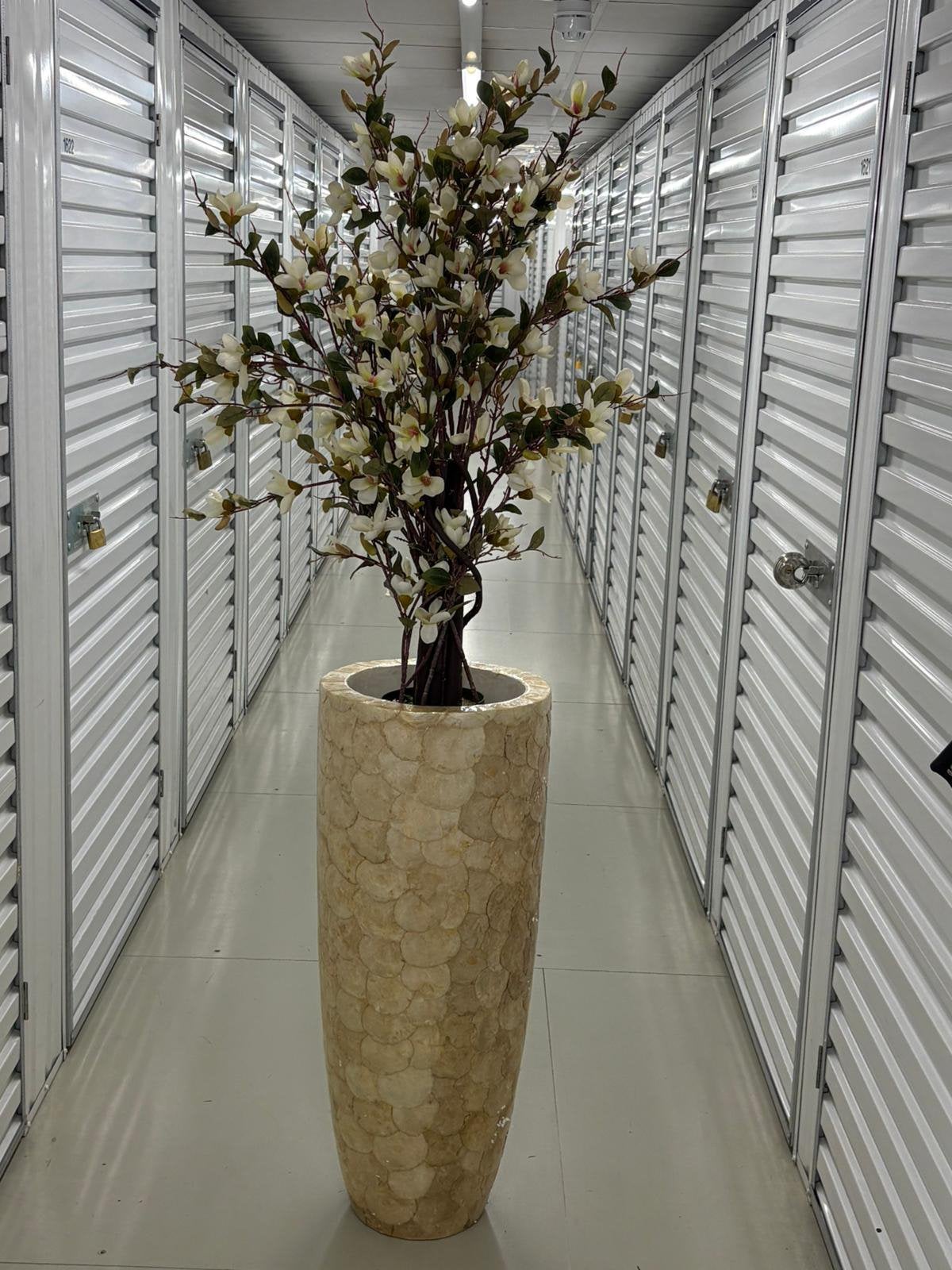 Schelpenvazen met bloesems, Ophalen of Verzenden