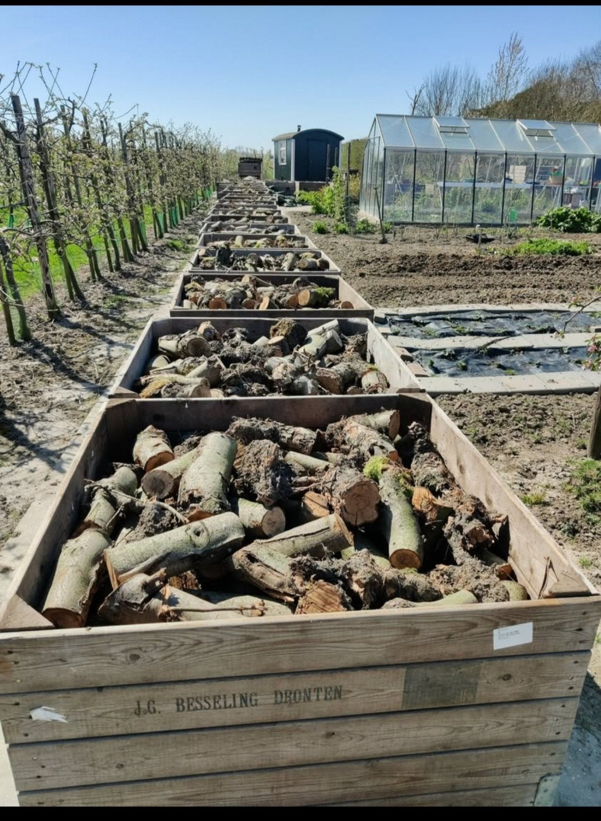 Openhaardhout/Appelhout, Tuin en Terras, 6 m³ of meer, Ophalen of Verzenden, Overige houtsoorten, Blokken