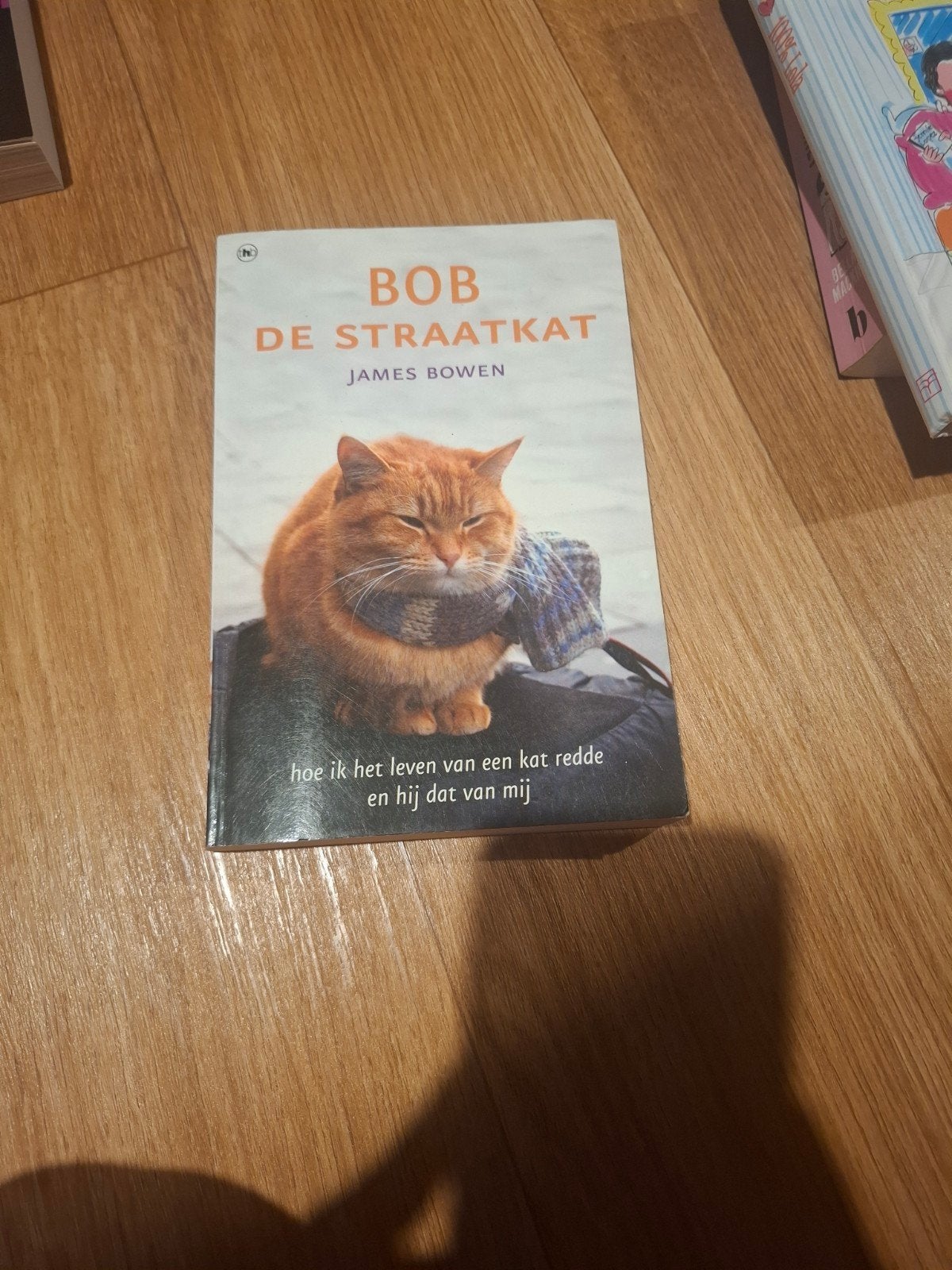 Bob de Straatkat - James Bowen, Ophalen of Verzenden, Gelezen, James Bowen, Overige