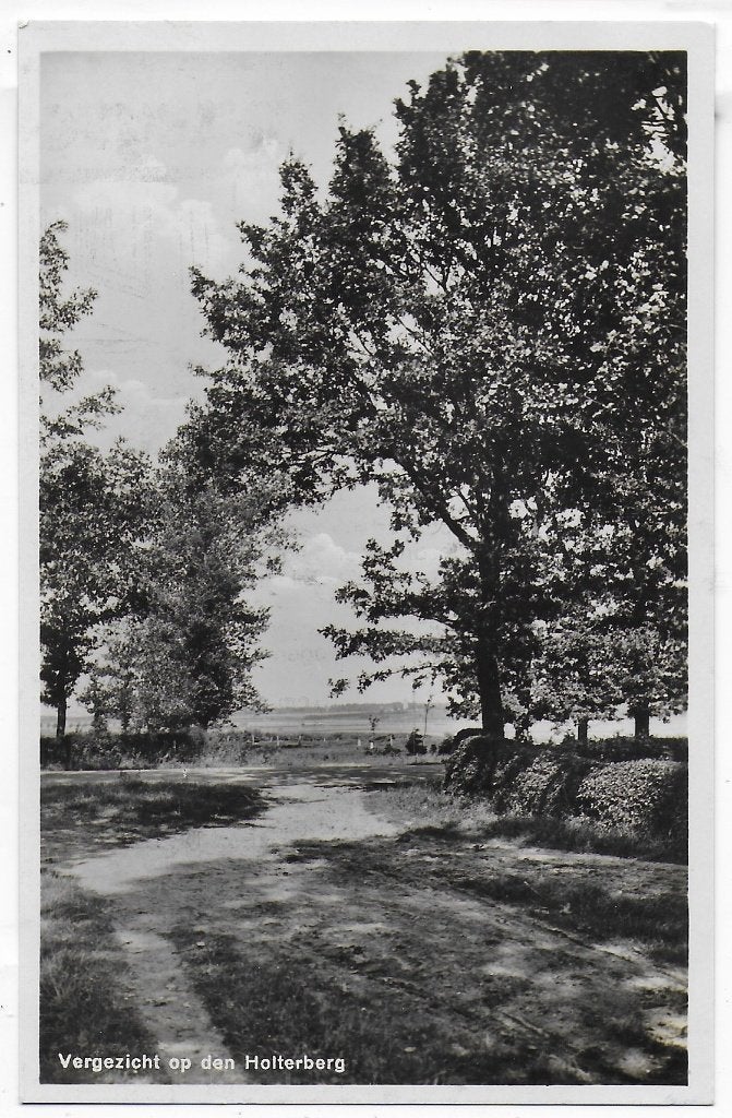 Vergezicht Holterberg   Ansichtkaart uit 1933 ( B8401), Ophalen of Verzenden, 1920 tot 1940, Gelopen