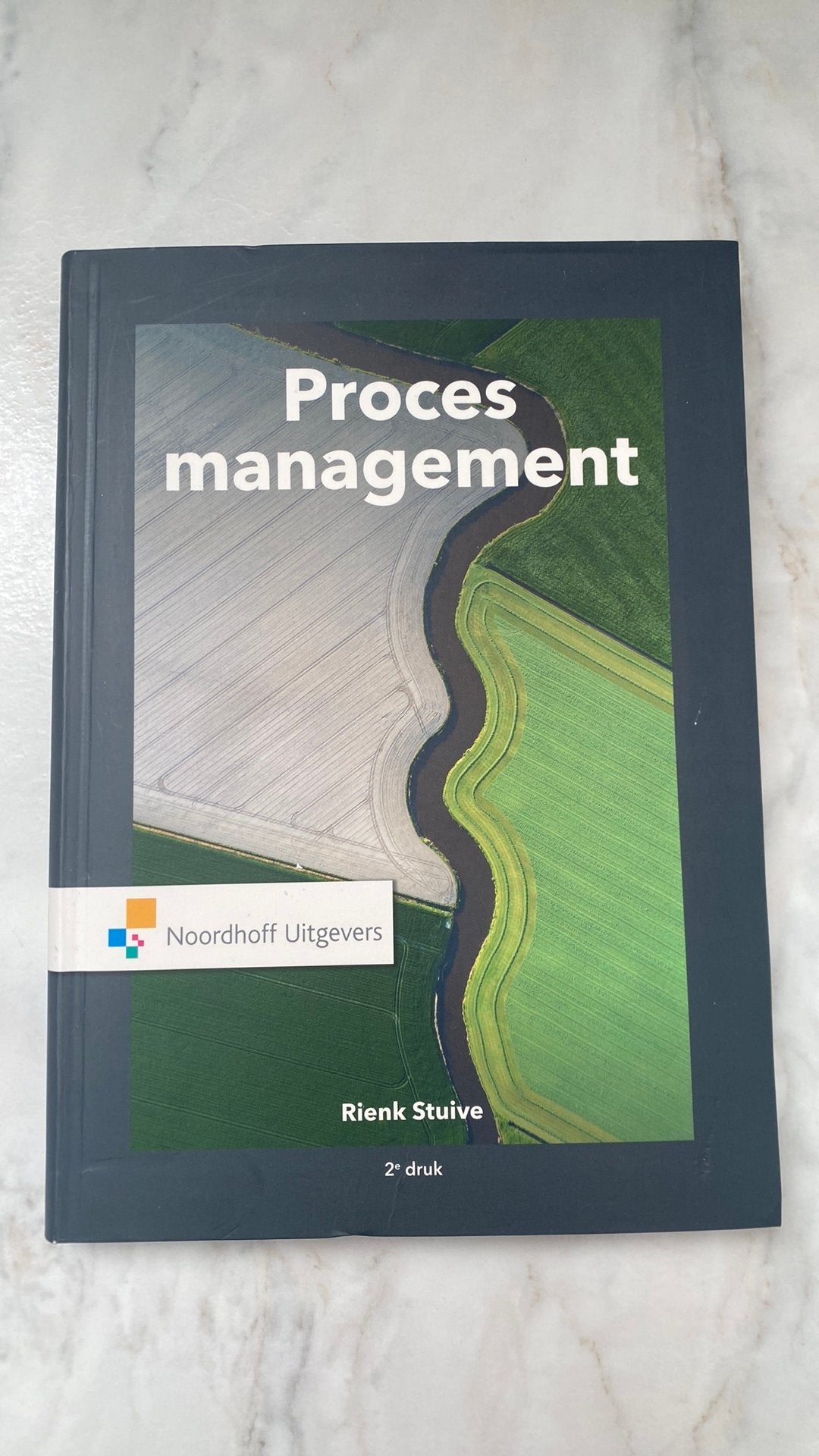 Rienk Stuive - Procesmanagement, Gelezen, Sociale wetenschap, Rienk Stuive, Ophalen of Verzenden