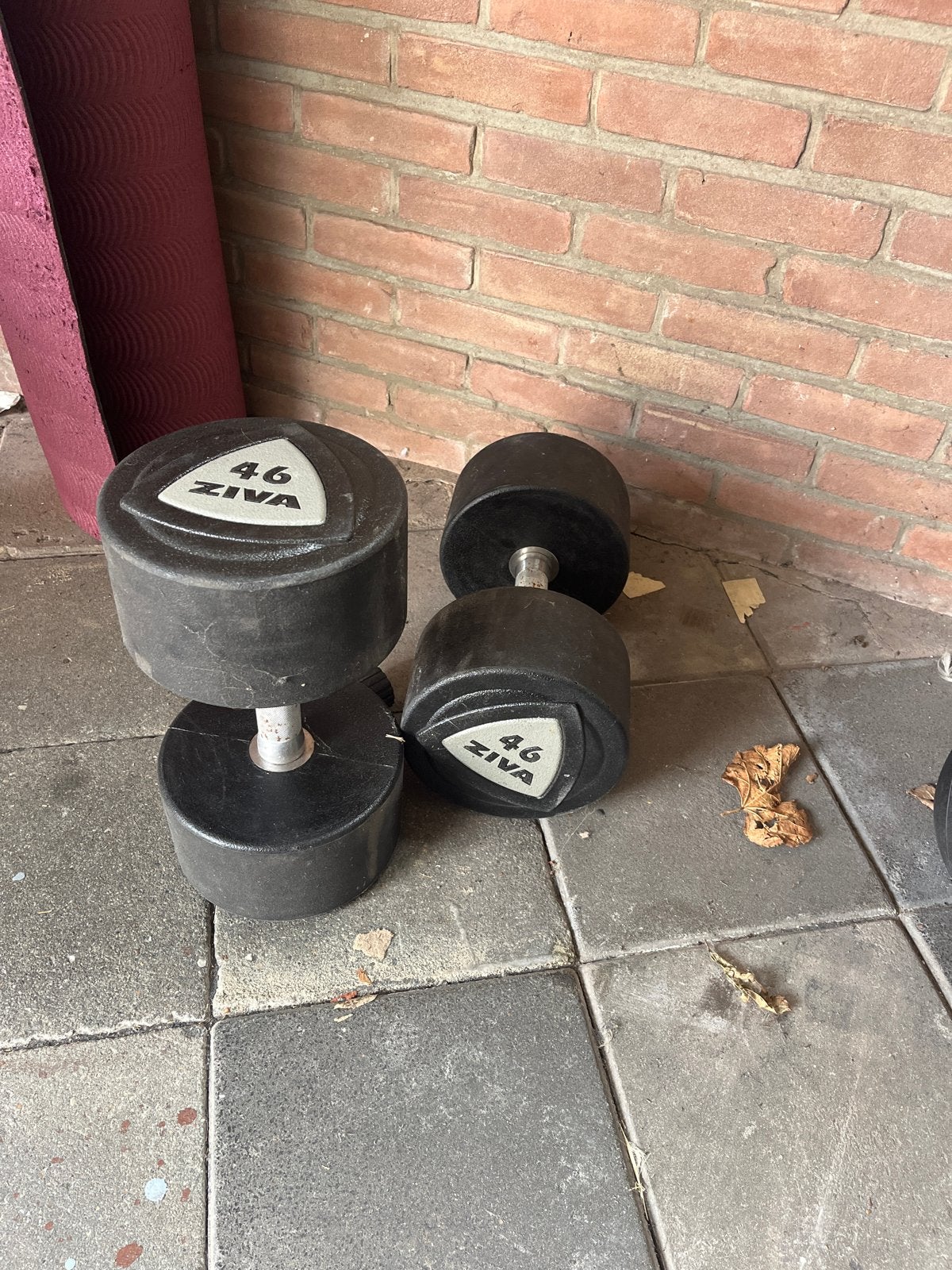 ZIVA Dumbbells 46 kg - Krachttraining, Ophalen, Gebruikt, Armen, Dumbbell