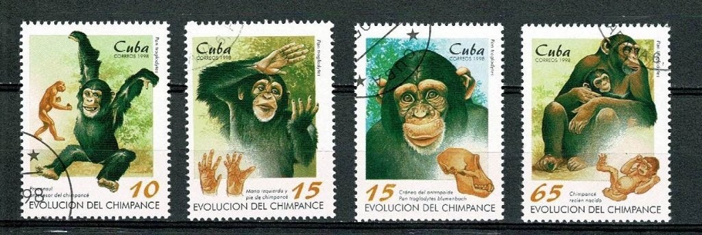 Aap - apen - aapjes : op postzegels Cuba, Postzegels en Munten, Verzenden, Gestempeld, Dier of Natuur