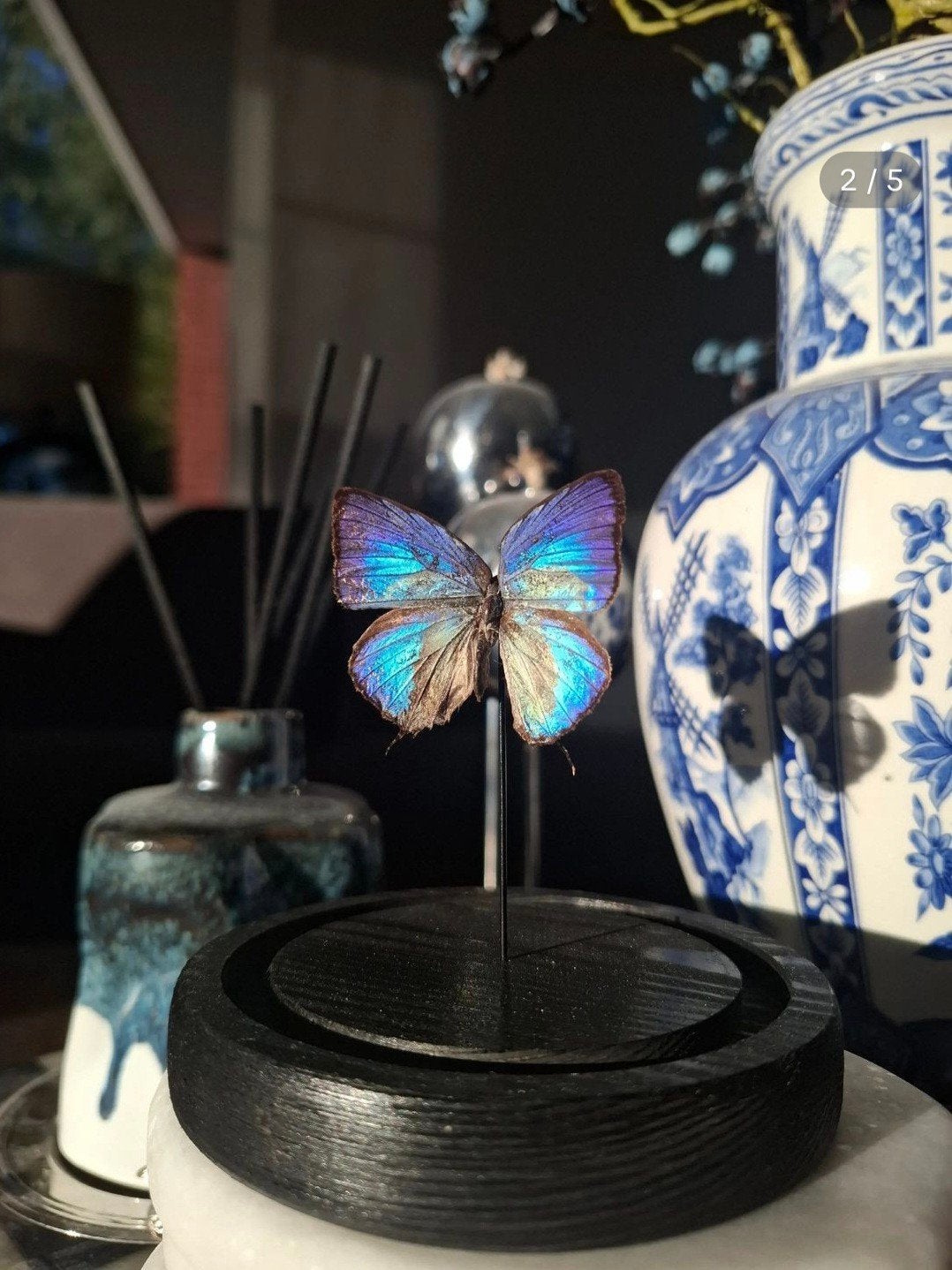 Vlinderstolp met opgezette blauwe vlinder - 11 cm hoog, Ophalen of Verzenden, Nieuw, Blauw, Glas