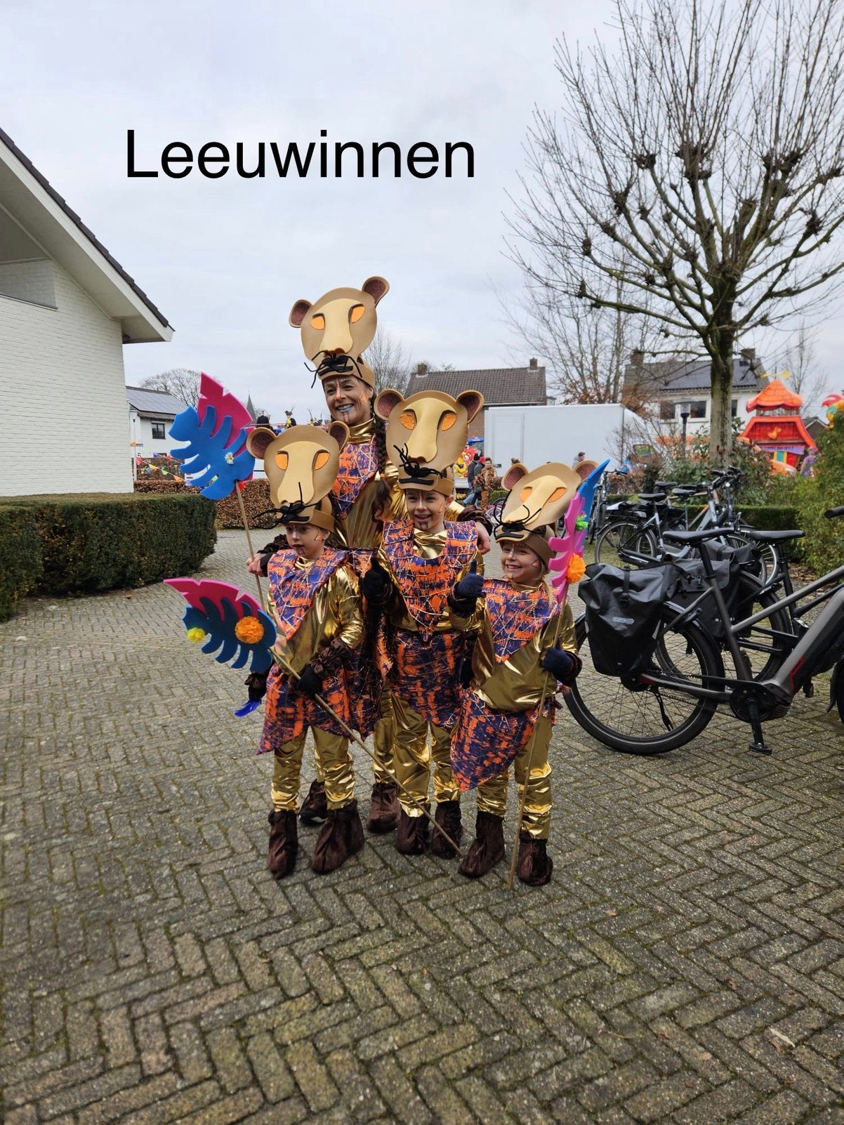 Mooie carnavalspakken, Maat 38/40 (M), Carnaval, Ophalen of Verzenden, Kleding
