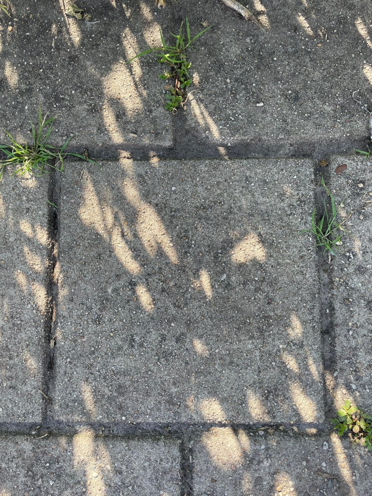 Gratis stoeptegels 30x30    Ruim 20m2, Ophalen, Zo goed als nieuw, Beton, Terrastegels