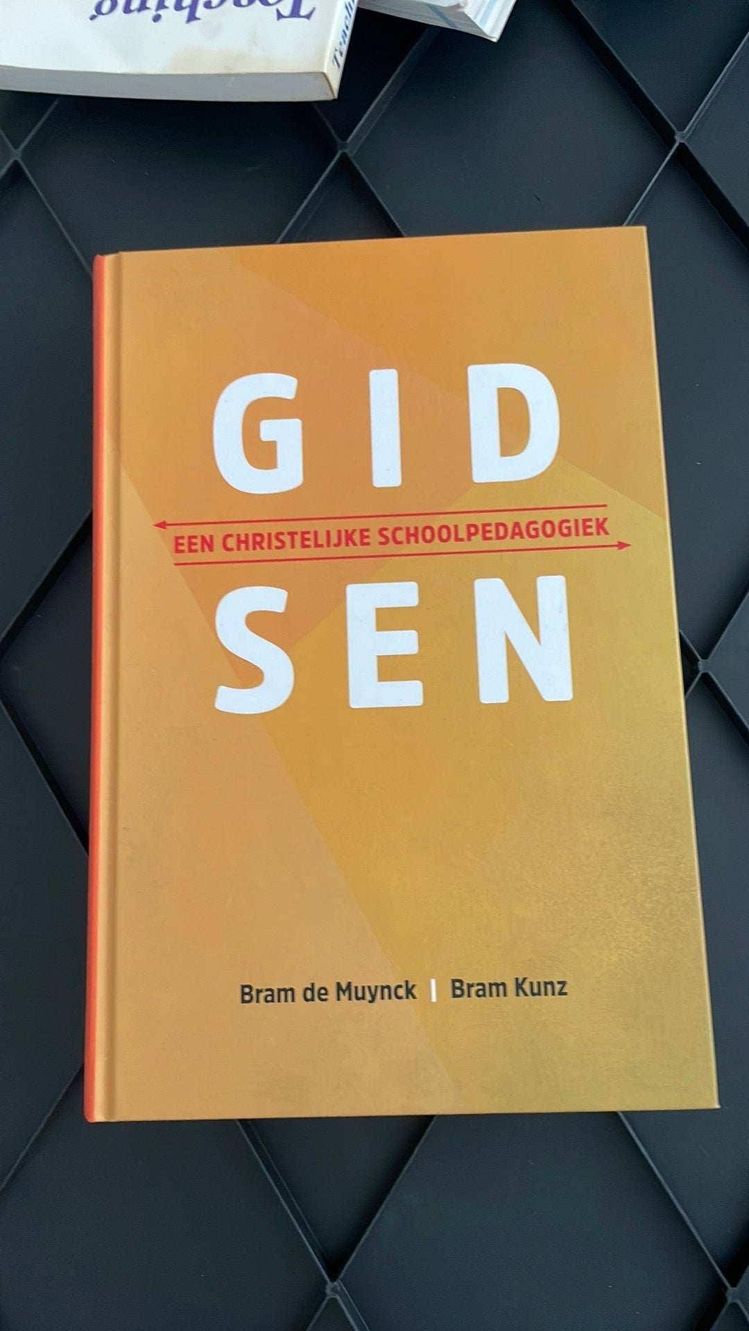 Bram de Muynck - Gidsen, Bram de Muynck; Bram Kunz; Henk Vermeulen, Verzenden, Sociale wetenschap, Zo goed als nieuw