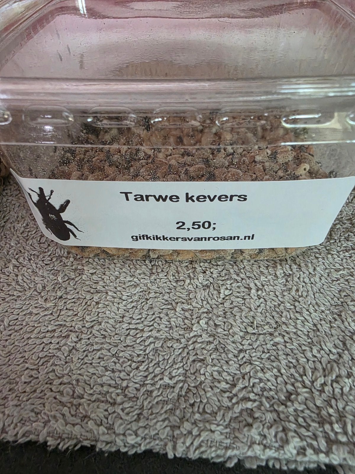 tarwekevers ideaal voer voor gifkikkers, Verzenden