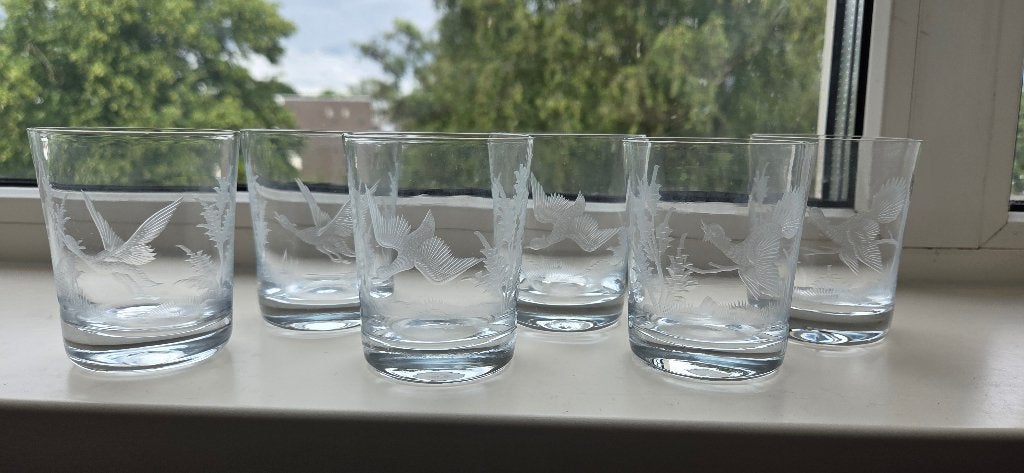 6 Glazen met vogelmotief, Verzamelen, Glas en Borrelglaasjes, Ophalen of Verzenden, Gebruikt, Overige typen