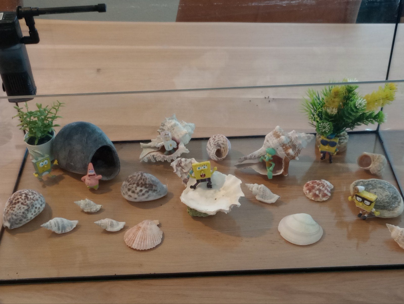 Aquarium met toebehoren.  60 x 30 x 30, Ophalen, Pomp, Overige merken, Zo goed als nieuw