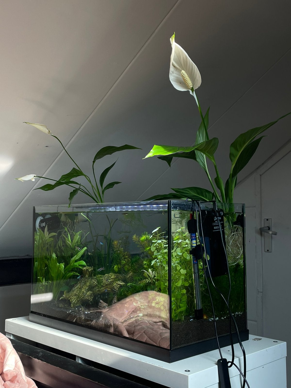 Aquarium te koop, Ophalen of Verzenden, Zo goed als nieuw